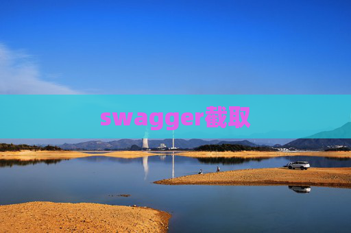 swagger截取